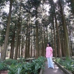 Jeolmul Natural Forest Resort