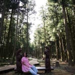 Jeolmul Natural Forest Resort