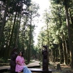 Jeolmul Natural Forest Resort