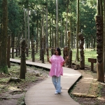 Jeolmul Natural Forest Resort