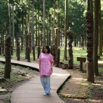 Jeolmul Natural Forest Resort