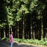 Jeolmul Natural Forest Resort