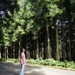 Jeolmul Natural Forest Resort