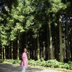 Jeolmul Natural Forest Resort