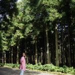 Jeolmul Natural Forest Resort