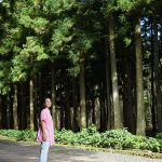 Jeolmul Natural Forest Resort