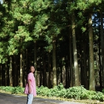 Jeolmul Natural Forest Resort