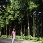 Jeolmul Natural Forest Resort