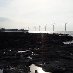 Sinchang Windmill Coastal Road