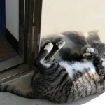 Cape Zanpa Lighthouse