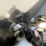 Cape Zanpa Lighthouse