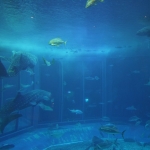 Ocean Expo Park