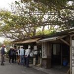 Nakijin Castle Ruins