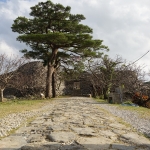 Nakijin Castle Ruins