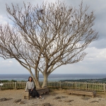 Nakijin Castle Ruins