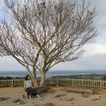 Nakijin Castle Ruins