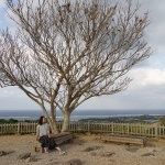 Nakijin Castle Ruins