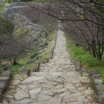 Nakijin Castle Ruins