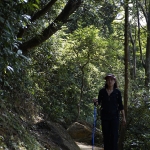 Lion Rock to Amah Rock