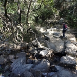 Lion Rock to Amah Rock