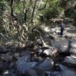 Lion Rock to Amah Rock