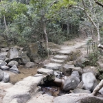Lion Rock to Amah Rock