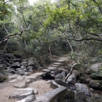 Lion Rock to Amah Rock