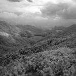 Wilson Trail Section 2