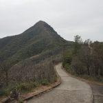 Needle Hill and Grassy Hill