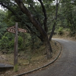 Needle Hill and Grassy Hill