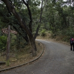Needle Hill and Grassy Hill