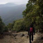 Needle Hill and Grassy Hill