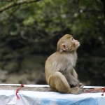 Needle Hill and Grassy Hill
