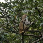 Needle Hill and Grassy Hill