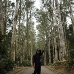 Needle Hill and Grassy Hill