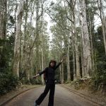 Needle Hill and Grassy Hill