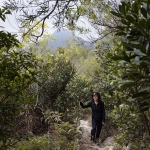 Tsz Wan Shan and Kowloon Peak