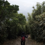 Tsz Wan Shan and Kowloon Peak