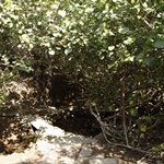 Wu Kau Tang to Luk Keng