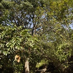 Wu Kau Tang to Luk Keng