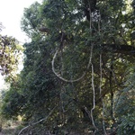 Wu Kau Tang to Luk Keng