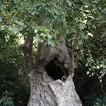 Wu Kau Tang to Luk Keng