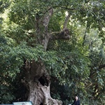 Wu Kau Tang to Luk Keng