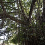 Wu Kau Tang to Luk Keng