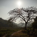 Wu Kau Tang to Luk Keng