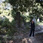 Wu Kau Tang to Luk Keng