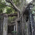 Wu Kau Tang to Luk Keng