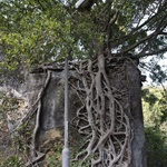 Wu Kau Tang to Luk Keng