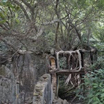 Wu Kau Tang to Luk Keng