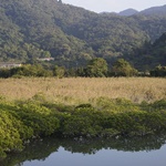 Wu Kau Tang to Luk Keng